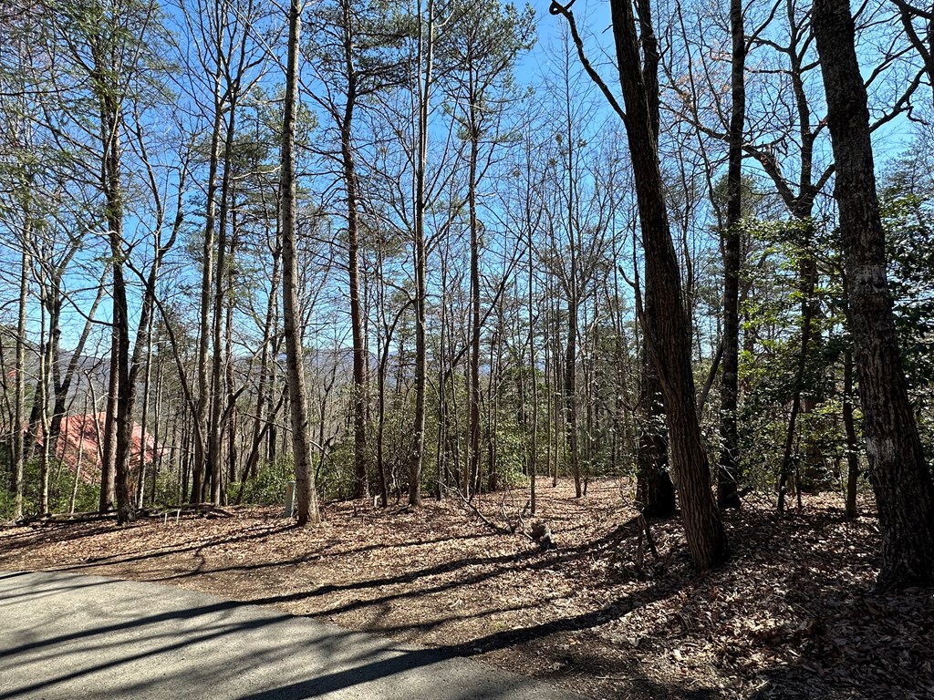 Lt 294 Broken Arrow Path