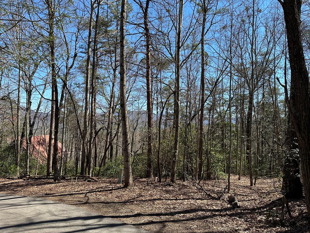 Lt 294 Broken Arrow Path