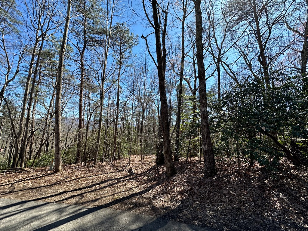 Lt 294 Broken Arrow Path