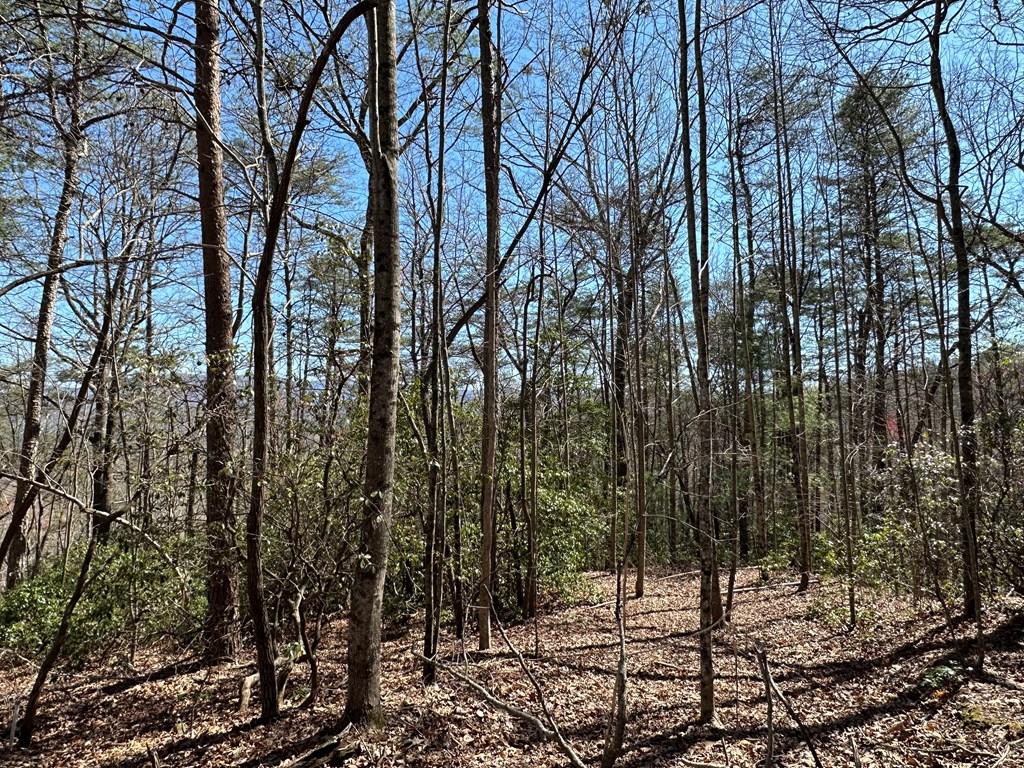 Lt 294 Broken Arrow Path