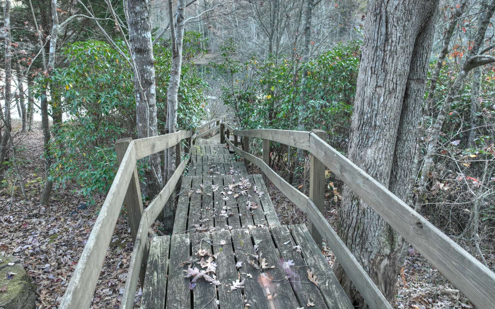 139 Beaver Cove Road