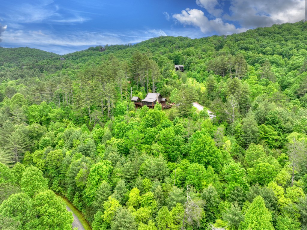 119 Brooks Ridge Road