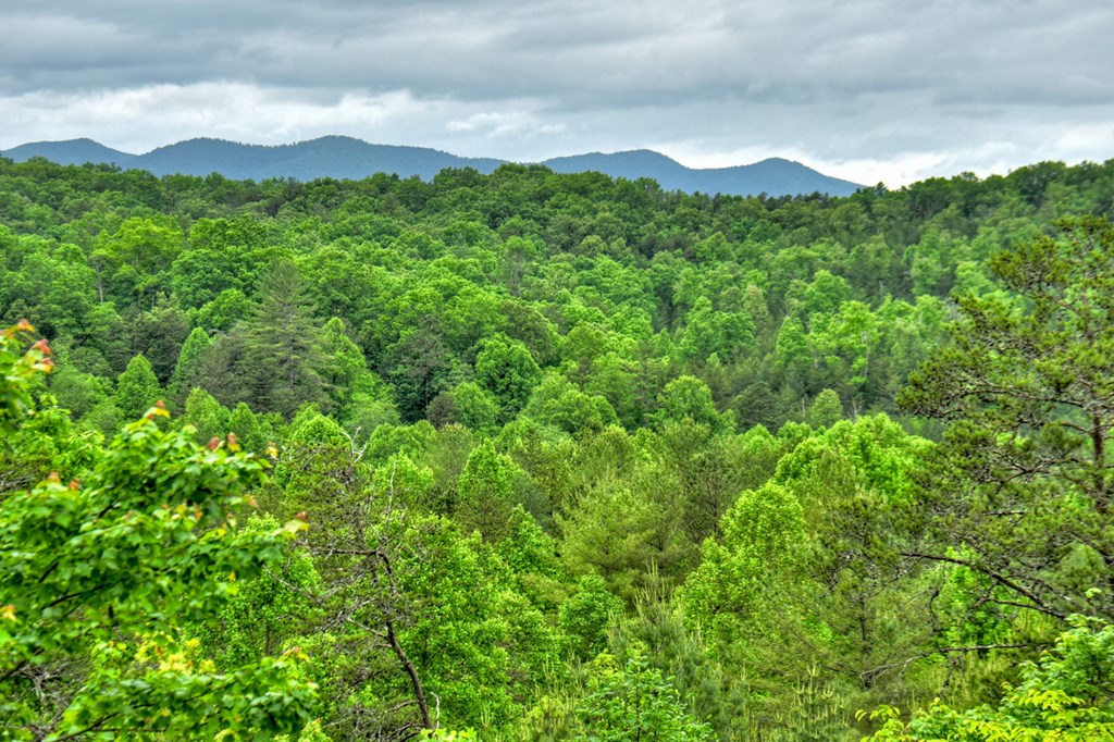 119 Brooks Ridge Road