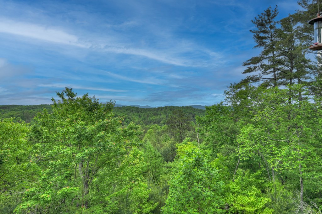 119 Brooks Ridge Road