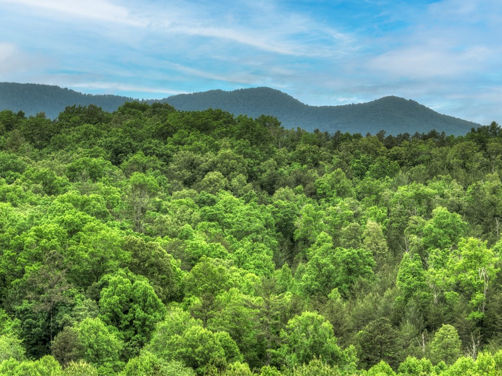 119 Brooks Ridge Road