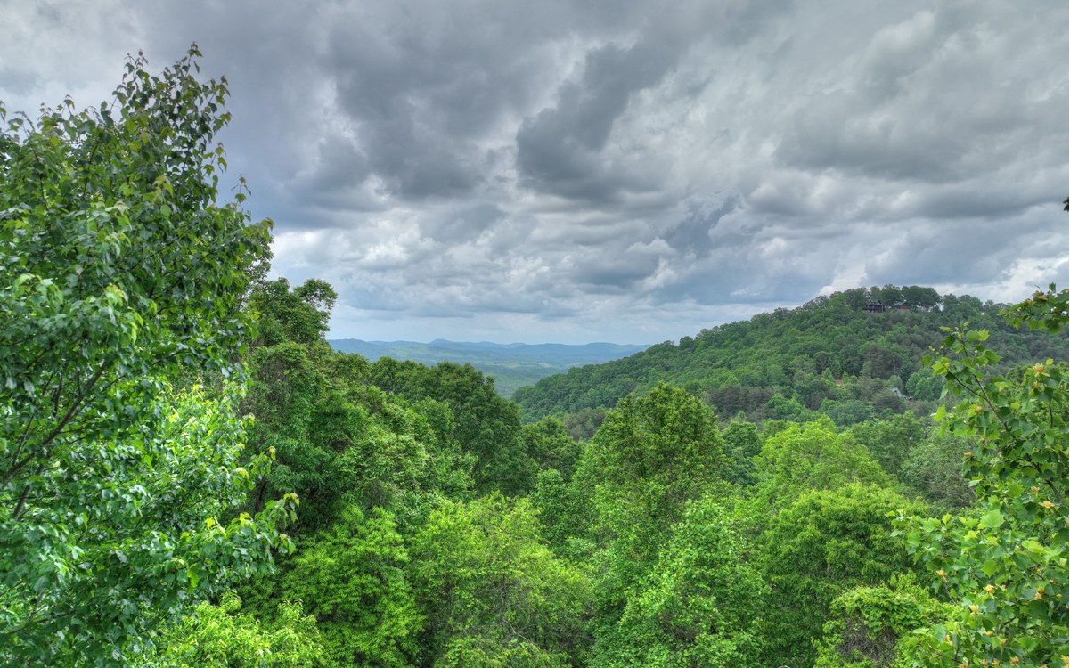 7.8 acs Ducks Nest Road