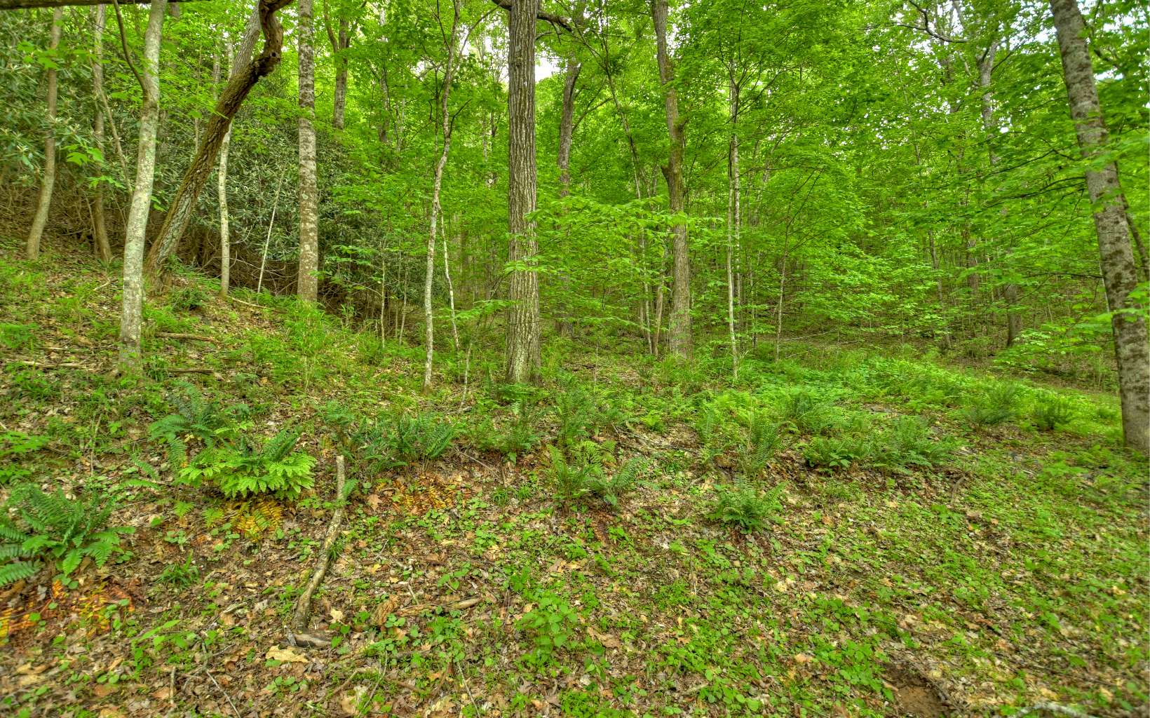 7.8 acs Ducks Nest Road