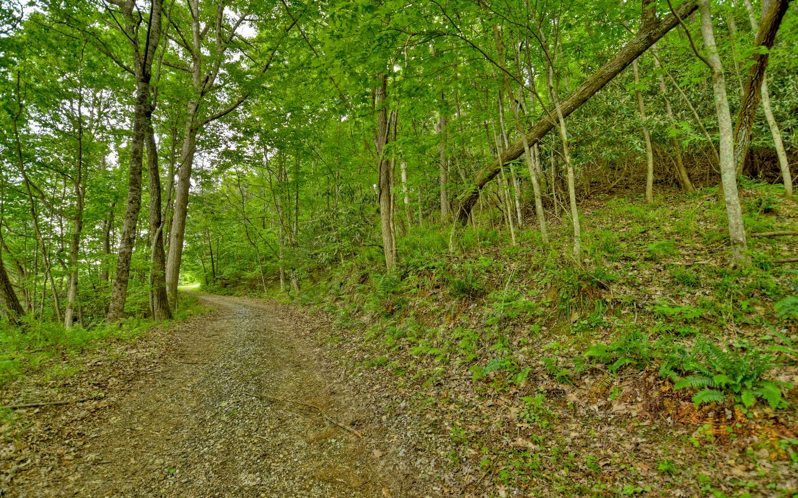 7.8 acs Ducks Nest Road