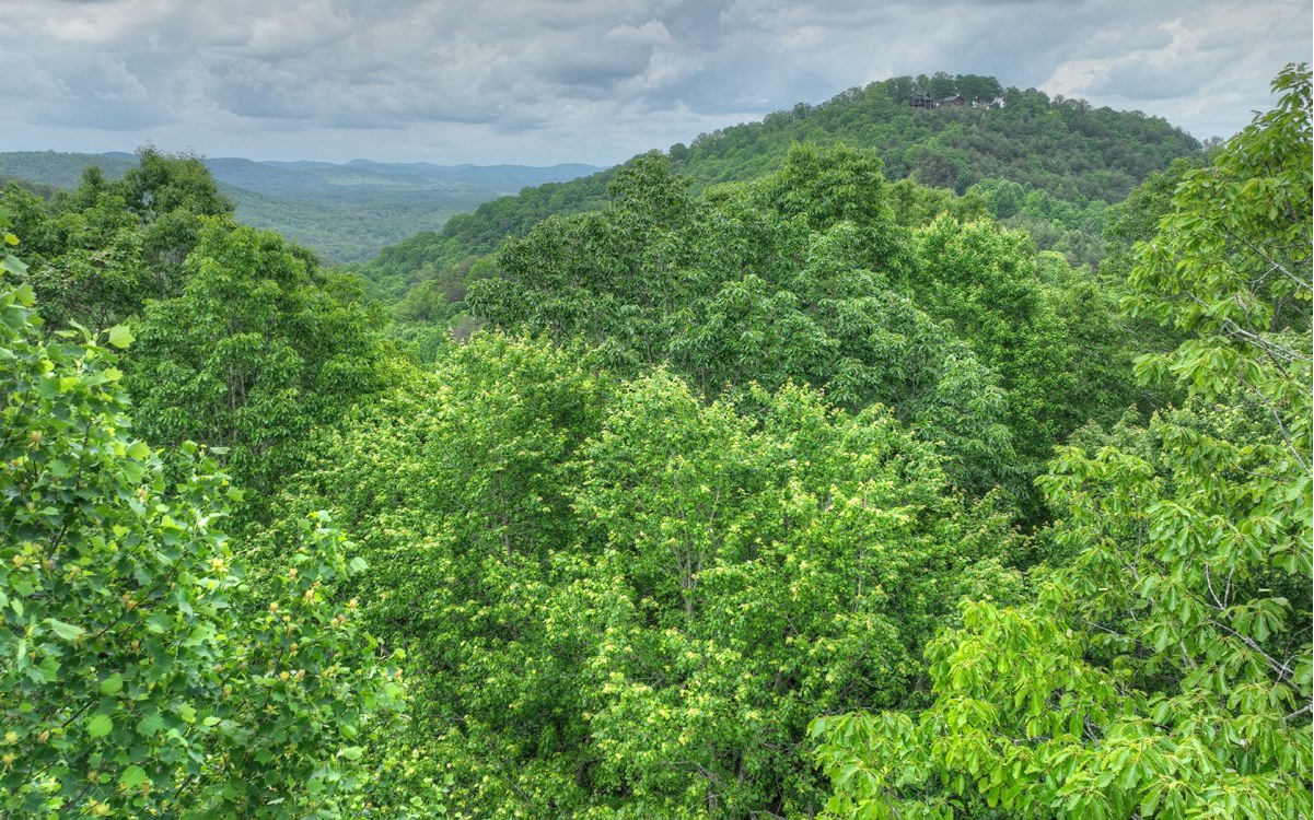 7.8 acs Ducks Nest Road