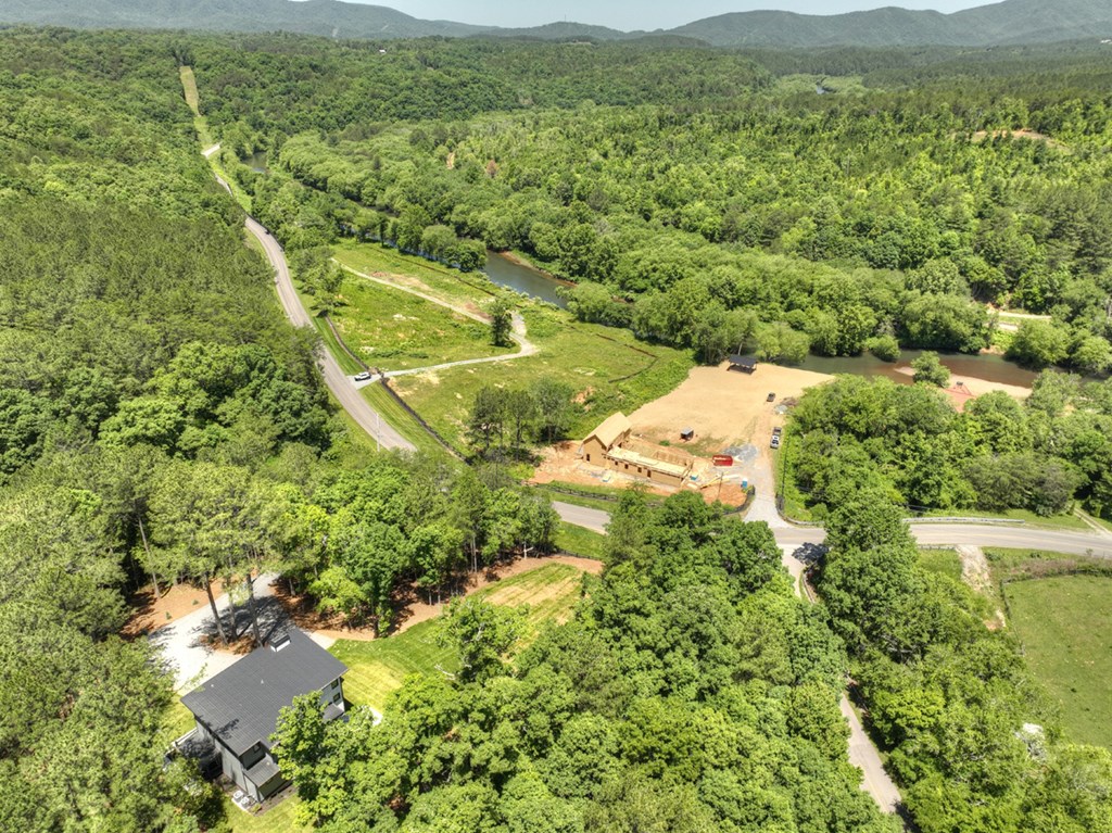 1806 Grassy Creek Road