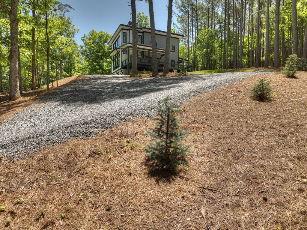 1806 Grassy Creek Road