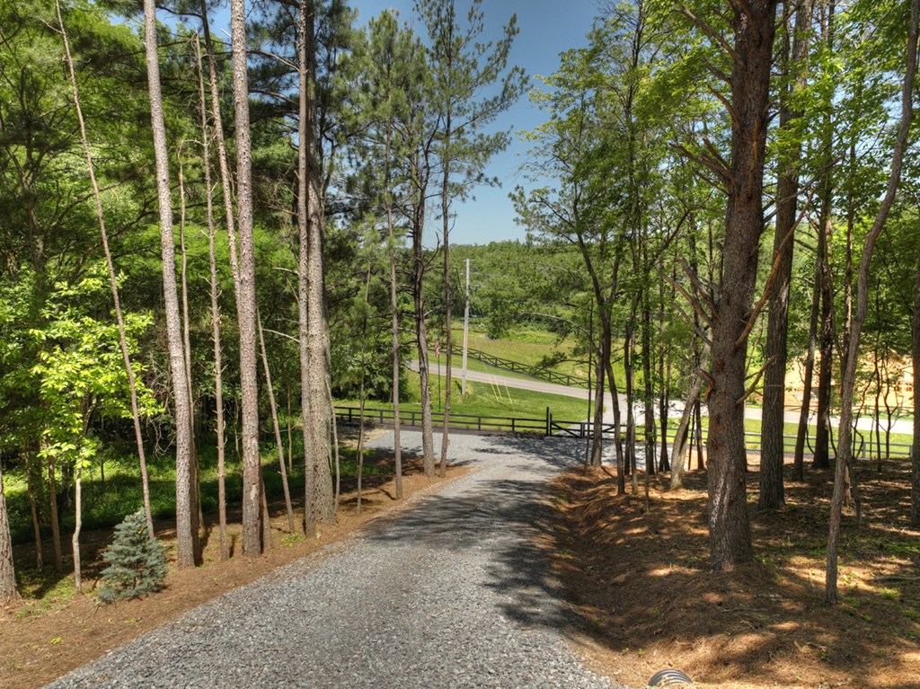 1806 Grassy Creek Road