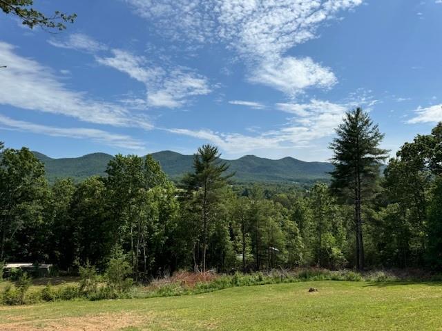 TRACT 3 Atkins Trail