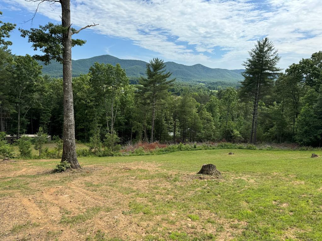 TRACT 3 Atkins Trail