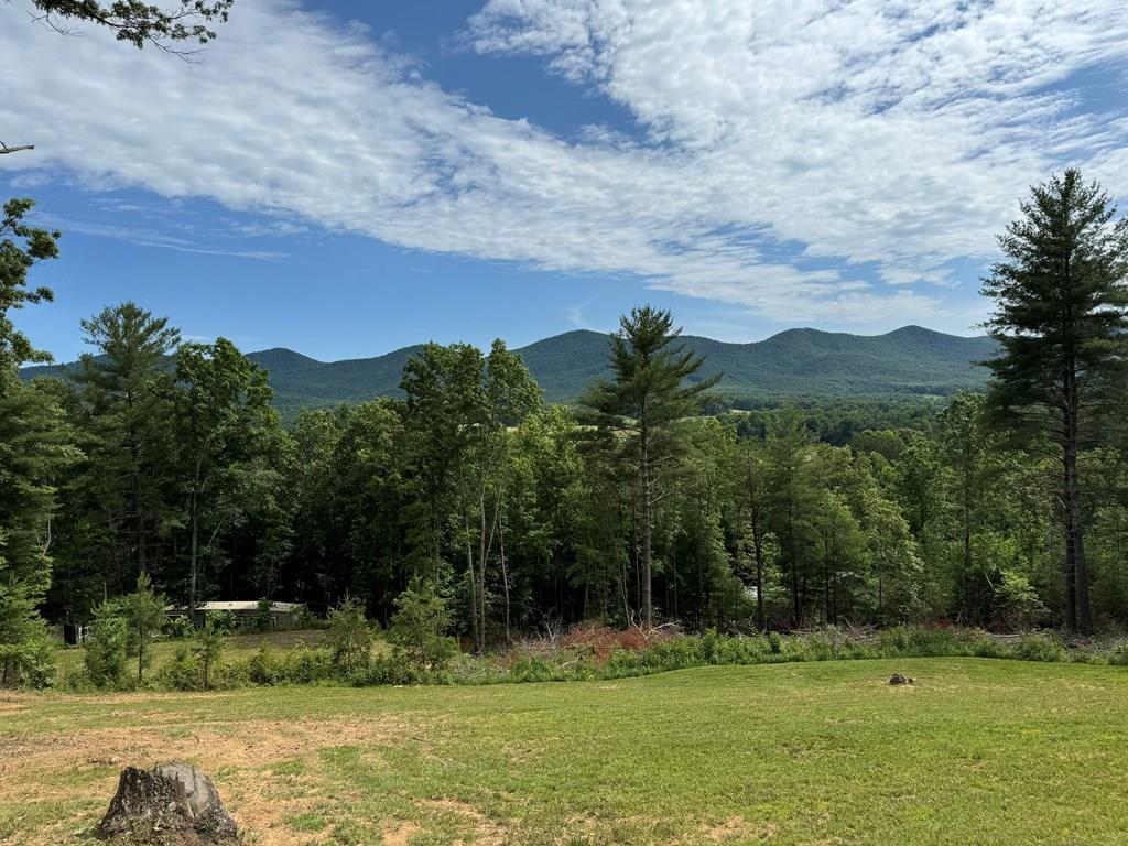 TRACT 3 Atkins Trail