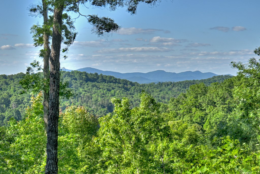 573 Weaver Creek Way