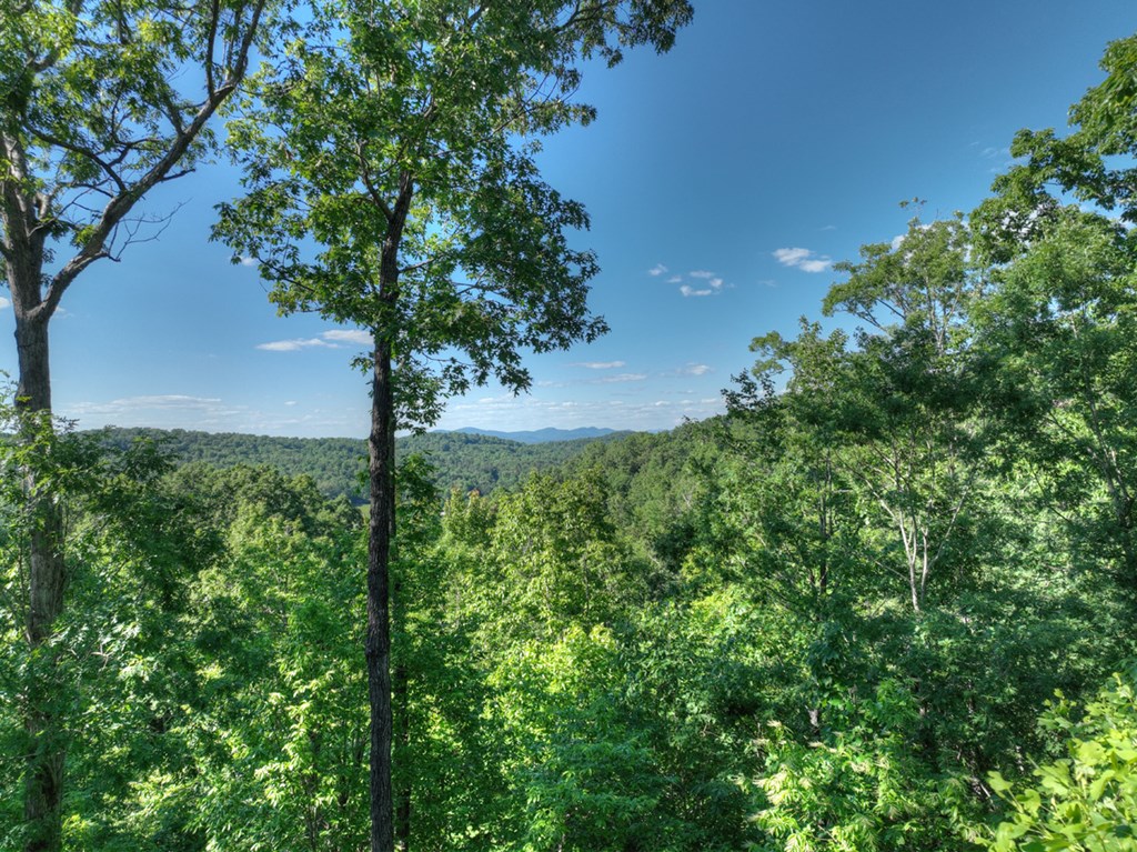 573 Weaver Creek Way