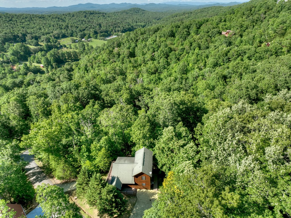 573 Weaver Creek Way