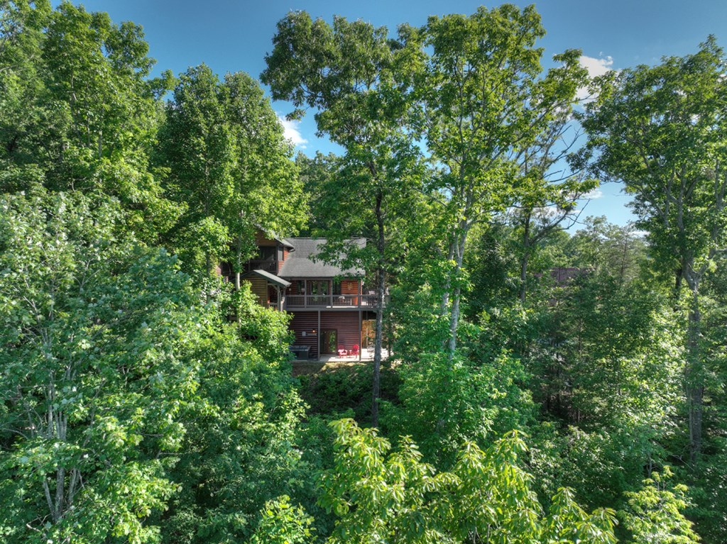 573 Weaver Creek Way