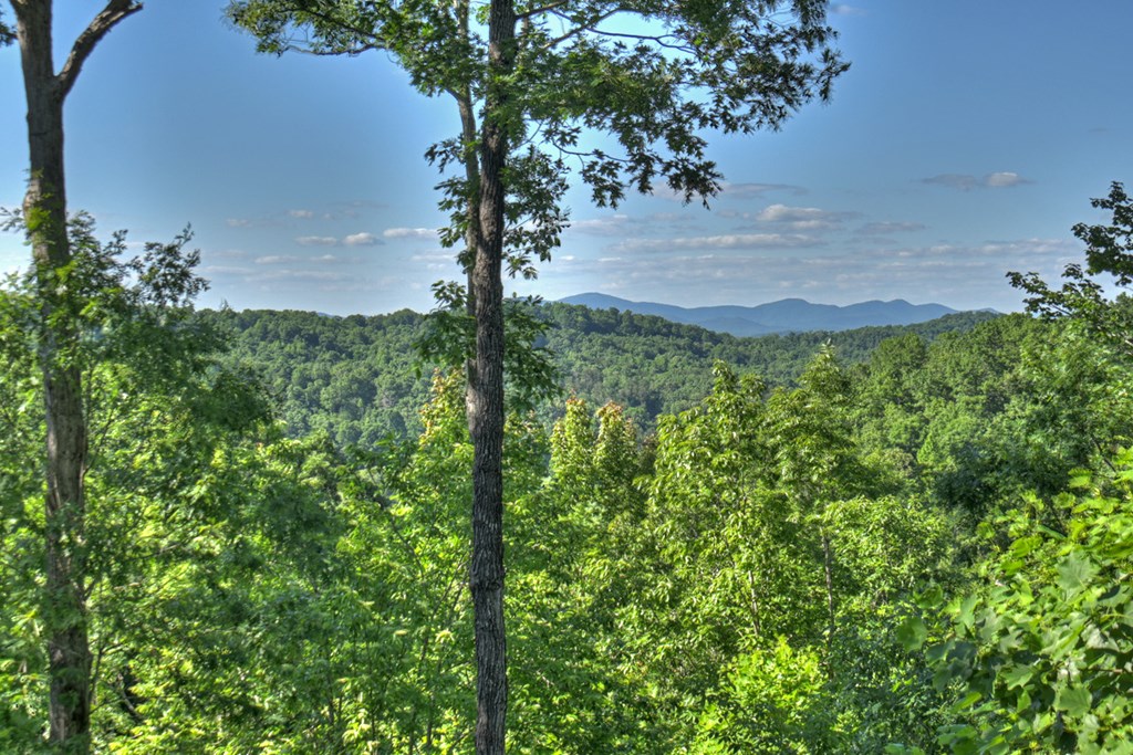 573 Weaver Creek Way