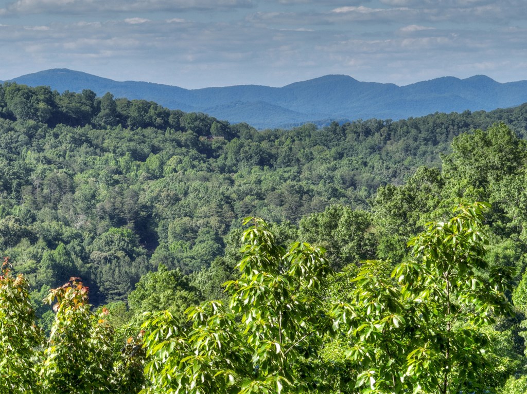 573 Weaver Creek Way