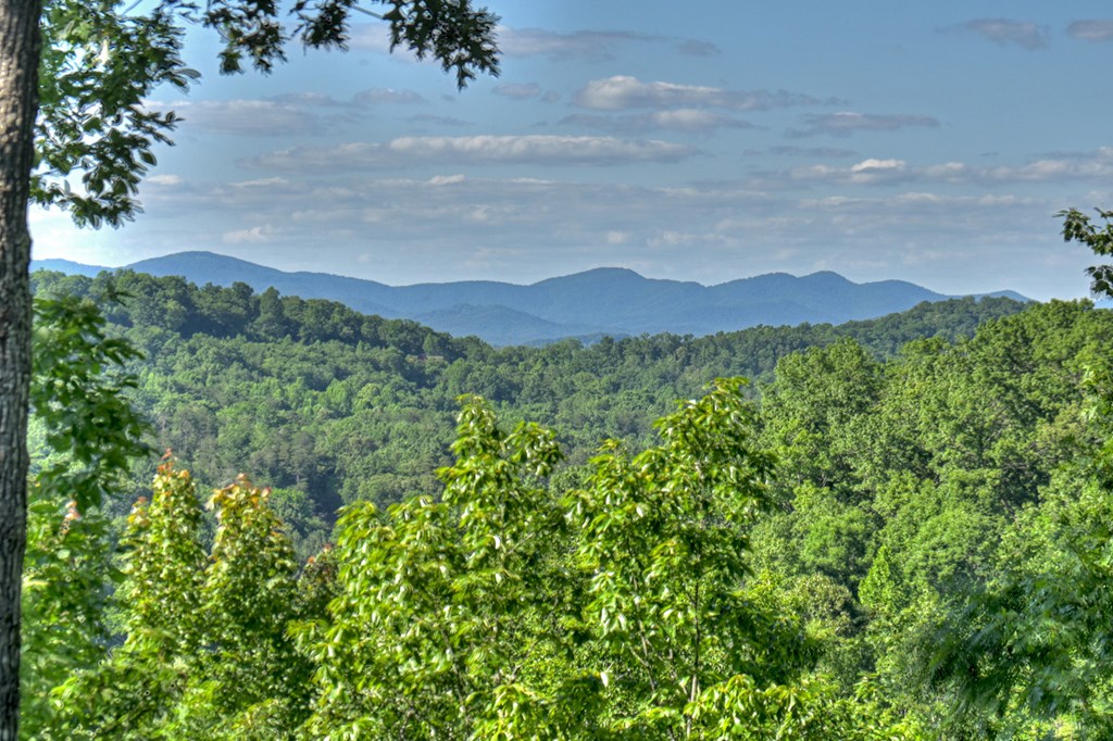 573 Weaver Creek Way