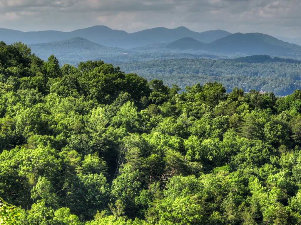 Lt 130 Genessee Path