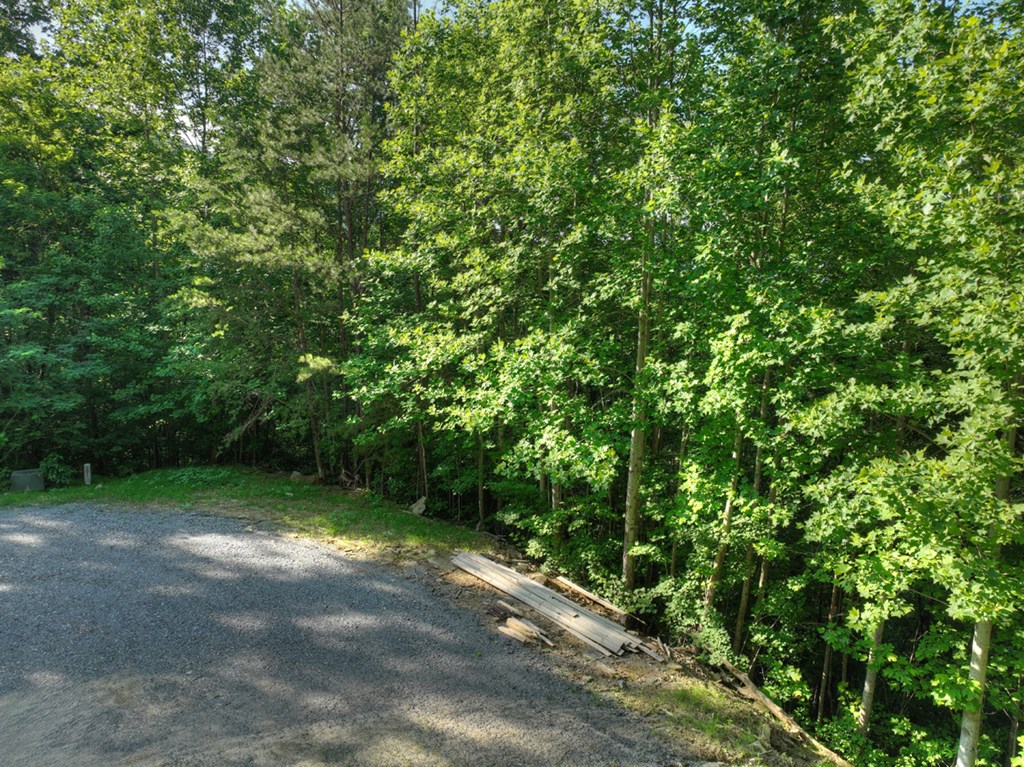 Lt 130 Genessee Path