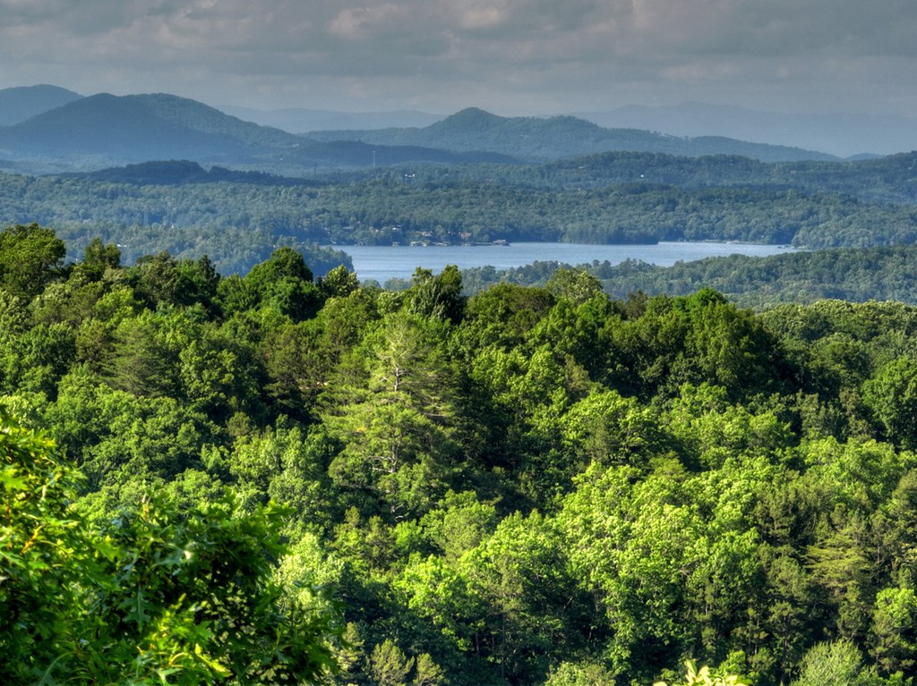 Lt 130 Genessee Path