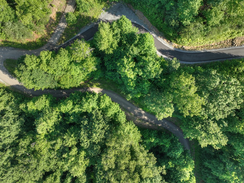 Lt 130 Genessee Path