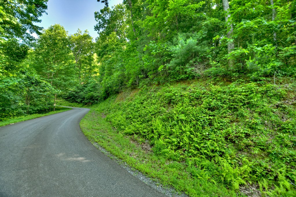 Lt 130 Genessee Path