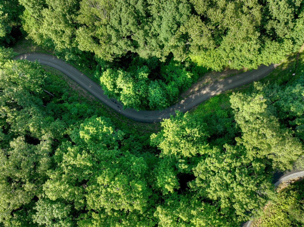 Lt 130 Genessee Path