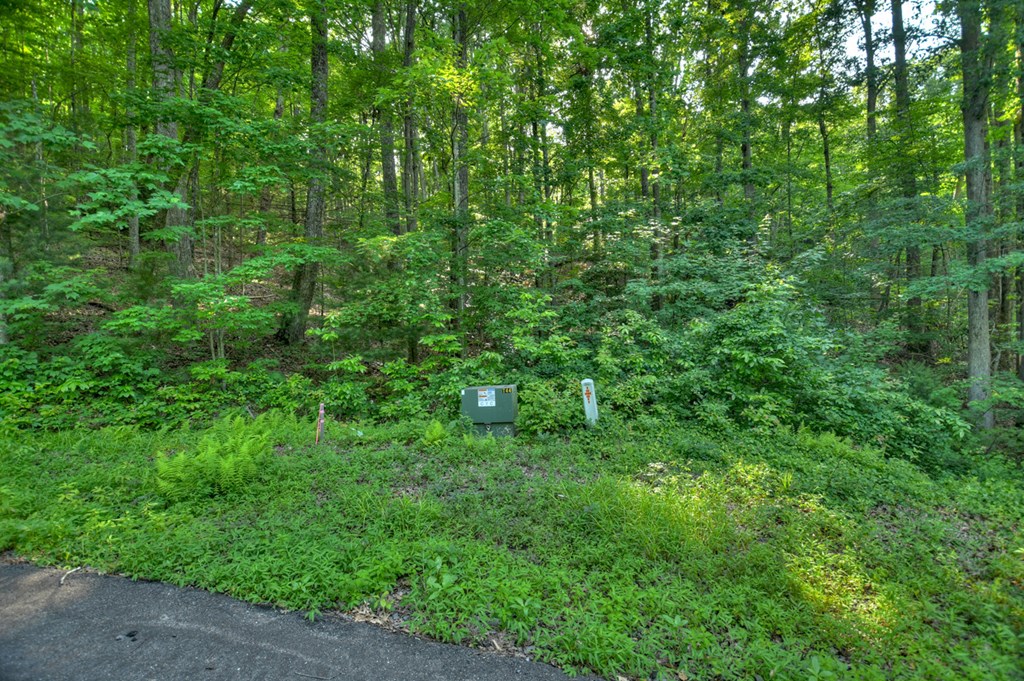 Lt 130 Genessee Path