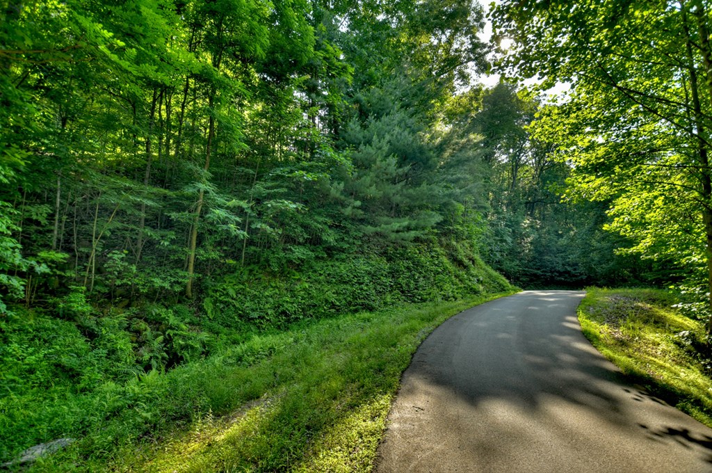 Lt 130 Genessee Path