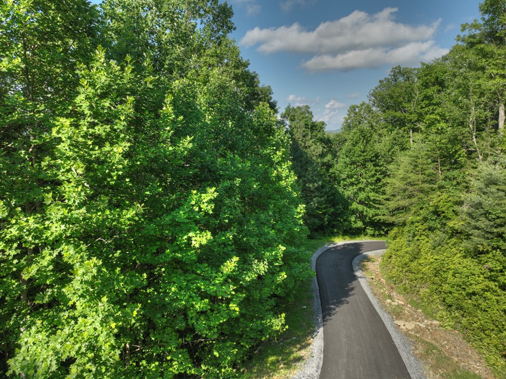 Lt 130 Genessee Path