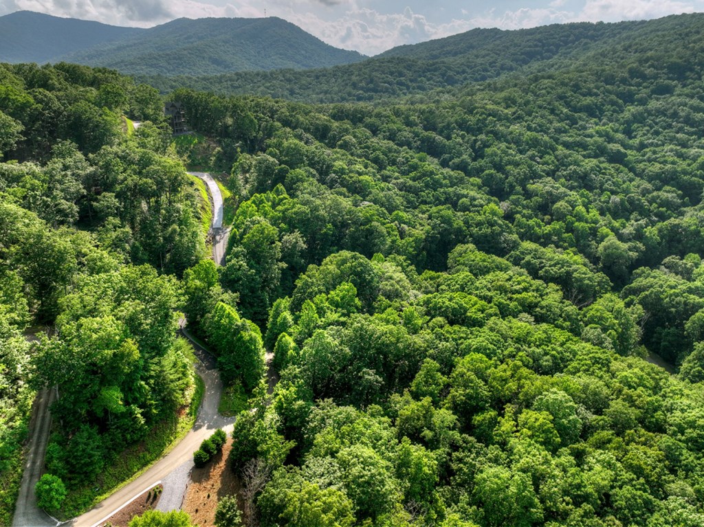 Lt 130 Genessee Path