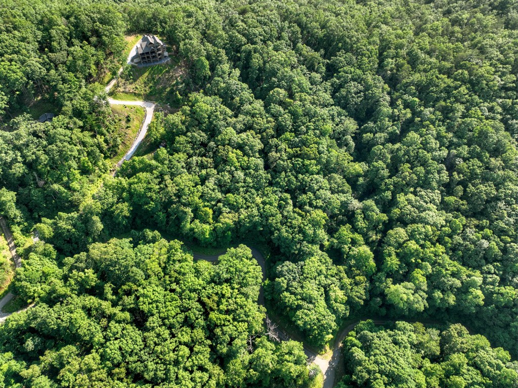 Lt 130 Genessee Path