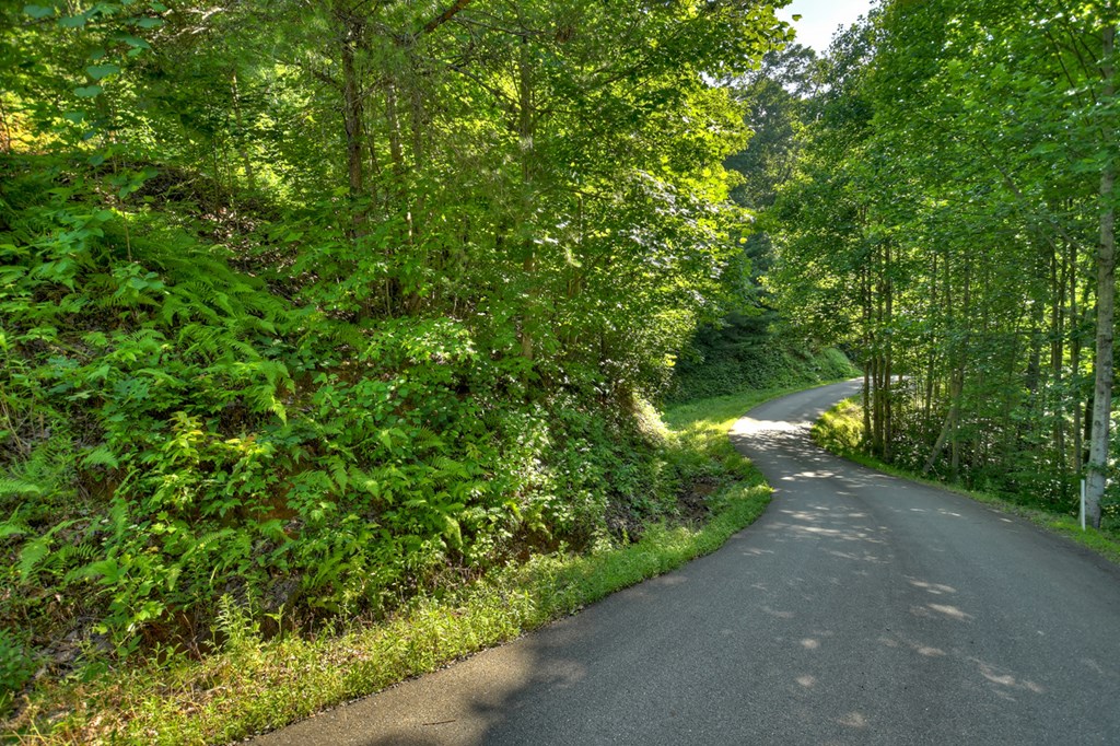 Lt 130 Genessee Path