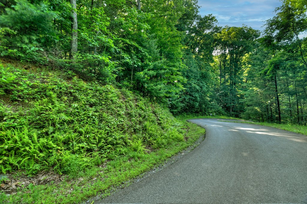 Lt 130 Genessee Path