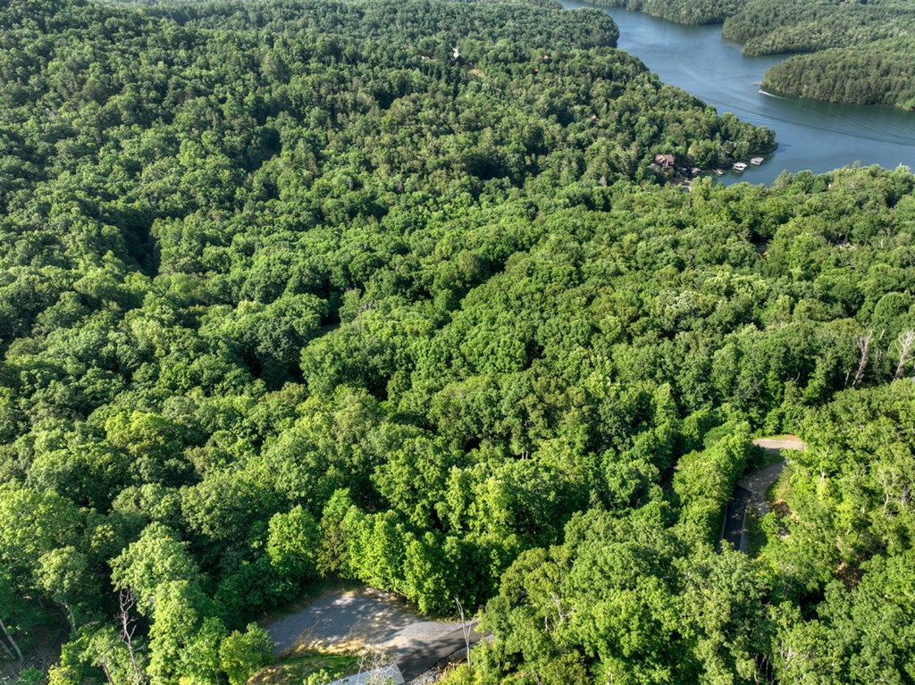 Lt 130 Genessee Path