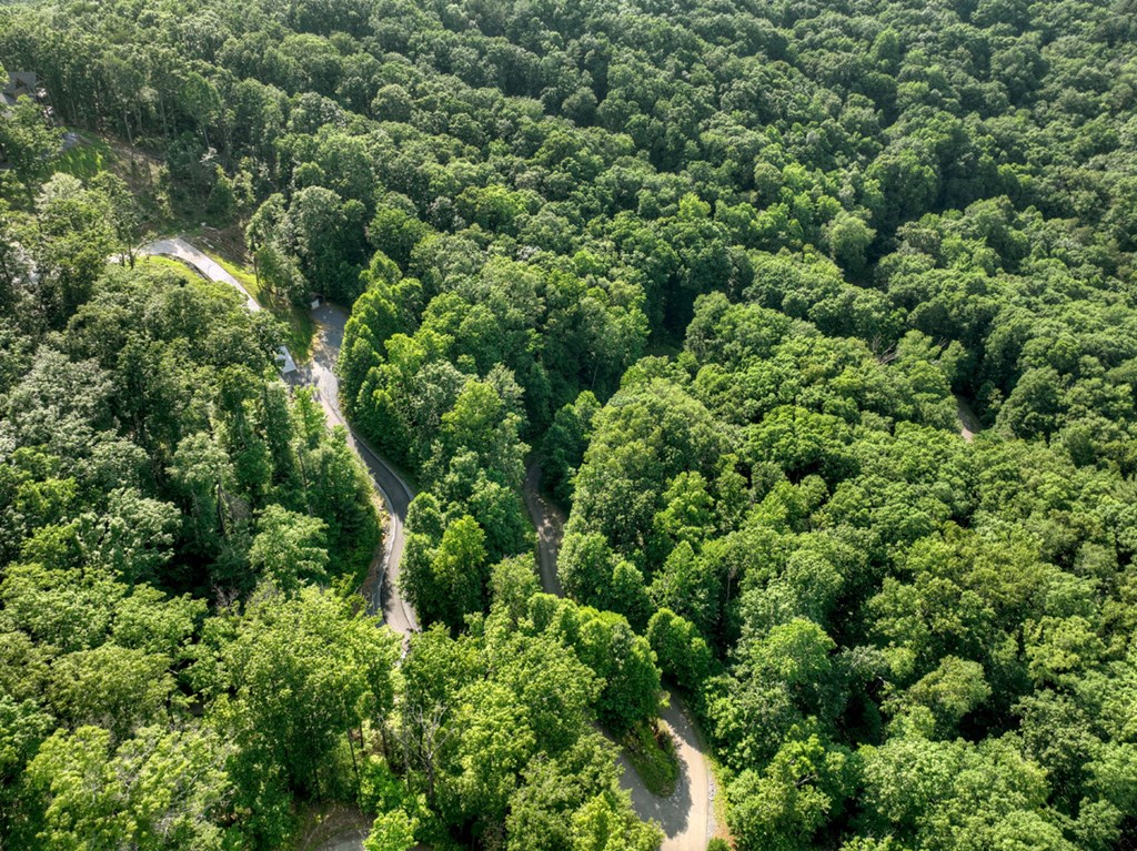 Lt 130 Genessee Path