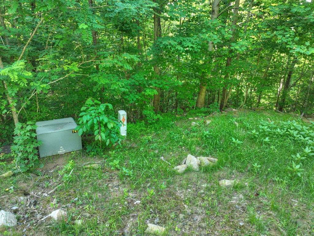 Lt 130 Genessee Path