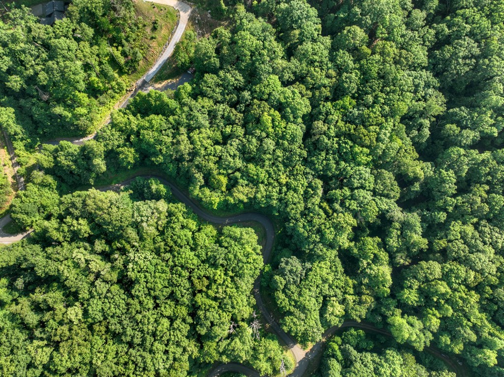 Lt 130 Genessee Path