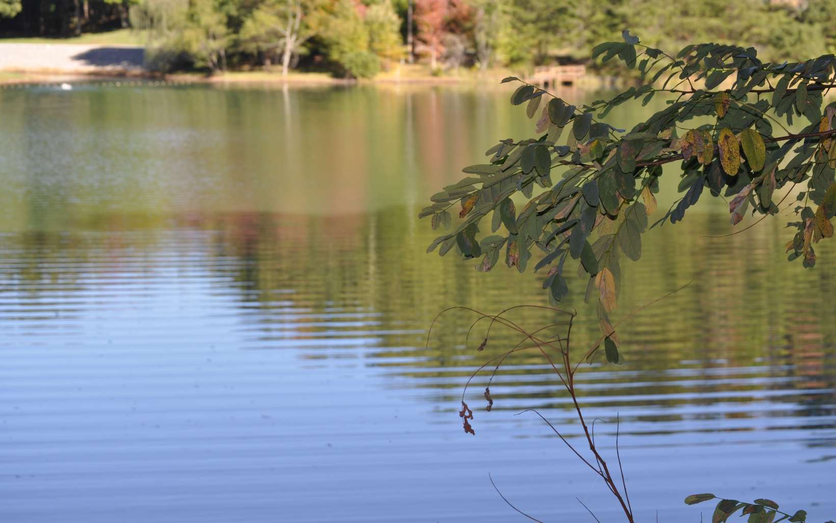 LOT 4 Ducks Nest Road