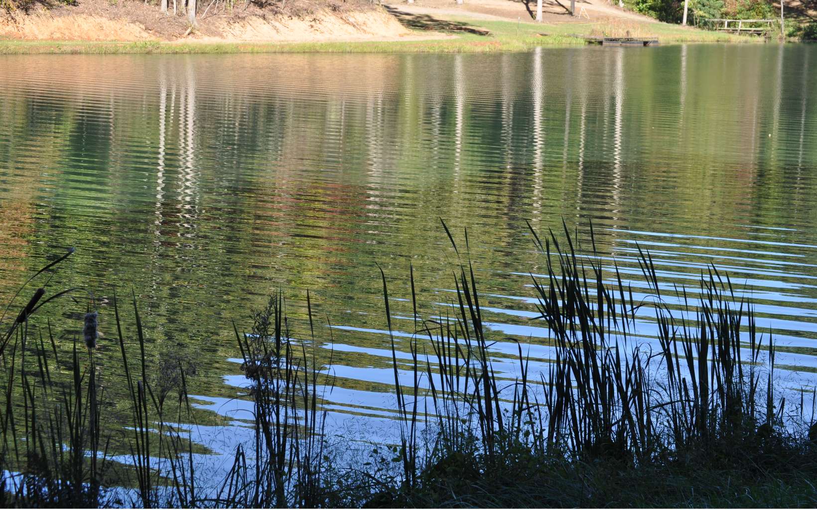 LOT 4 Ducks Nest Road