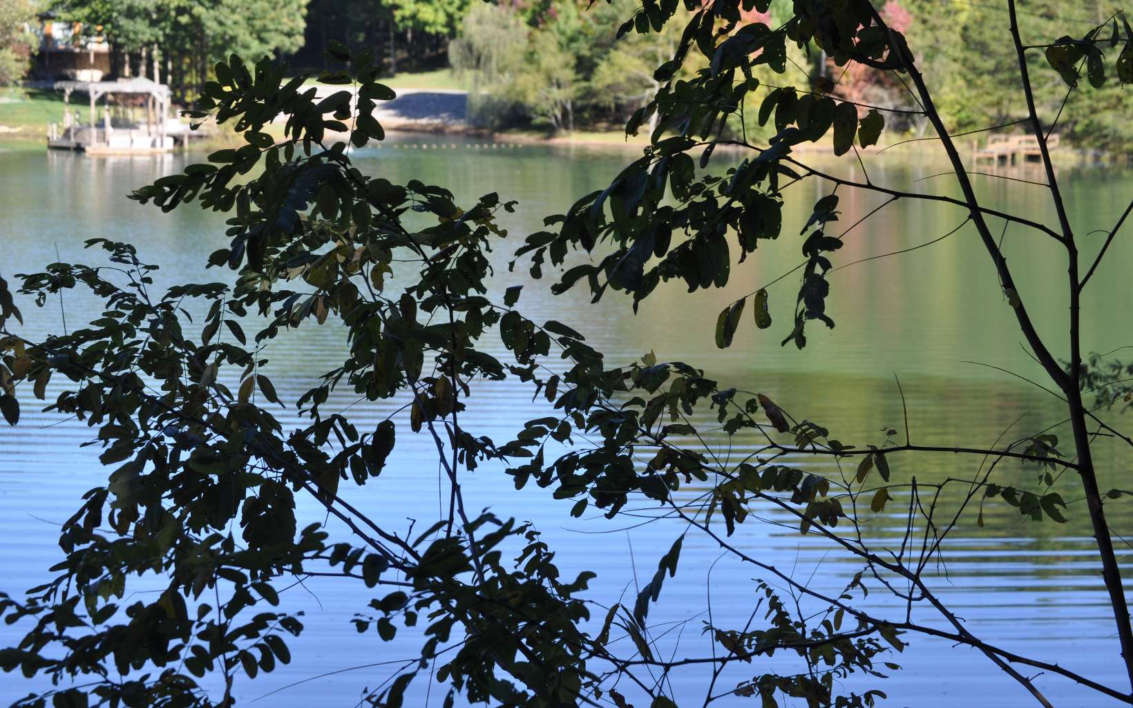 LOT 4 Ducks Nest Road