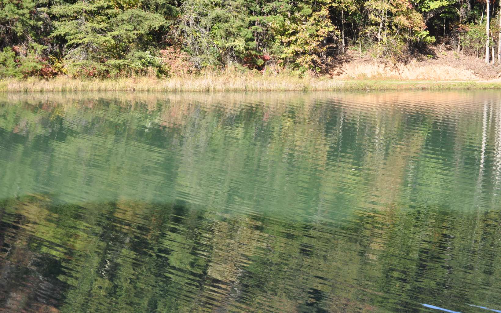 LOT 4 Ducks Nest Road