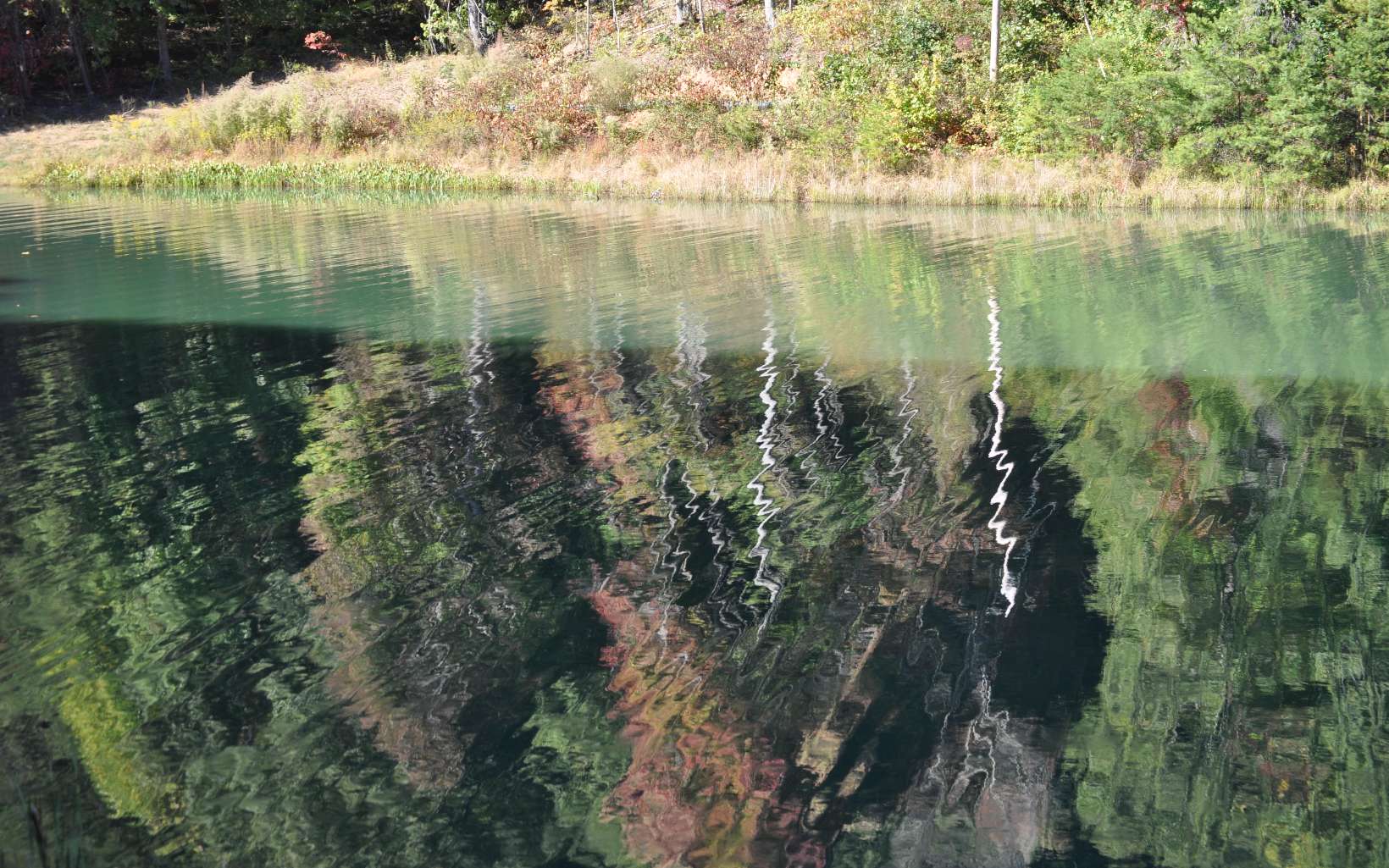 LOT 4 Ducks Nest Road