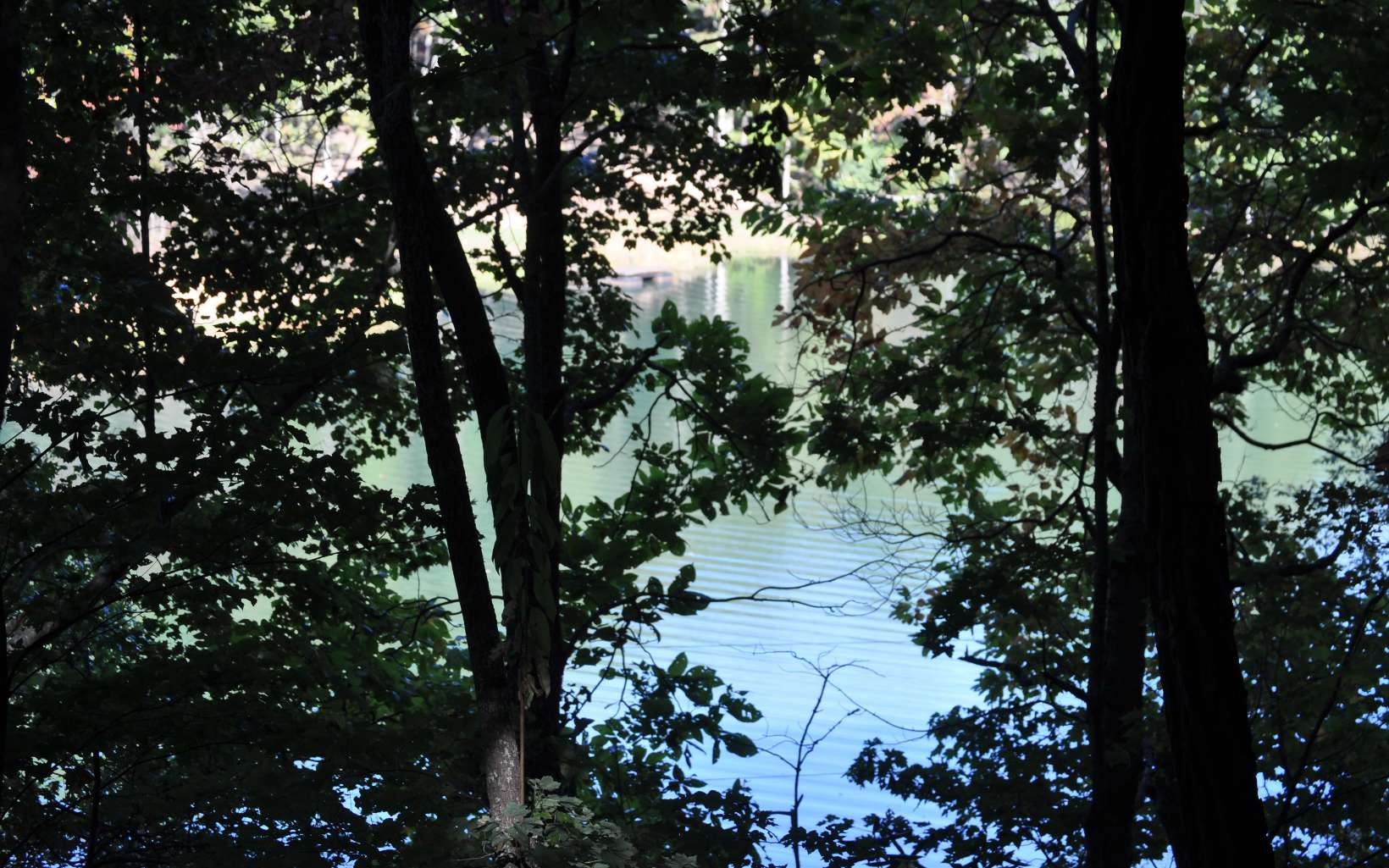 LOT 4 Ducks Nest Road