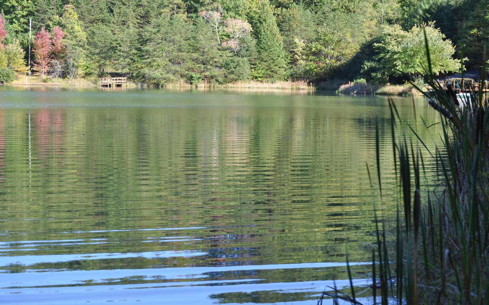 LOT 4 Ducks Nest Road